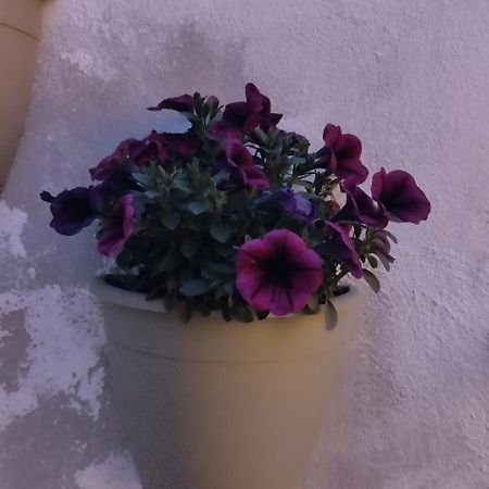 L' Arche Daire Castellaneta Dış mekan fotoğraf