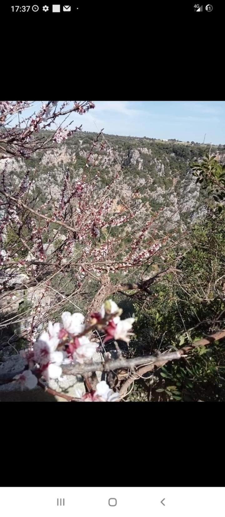 L' Arche Daire Castellaneta Dış mekan fotoğraf