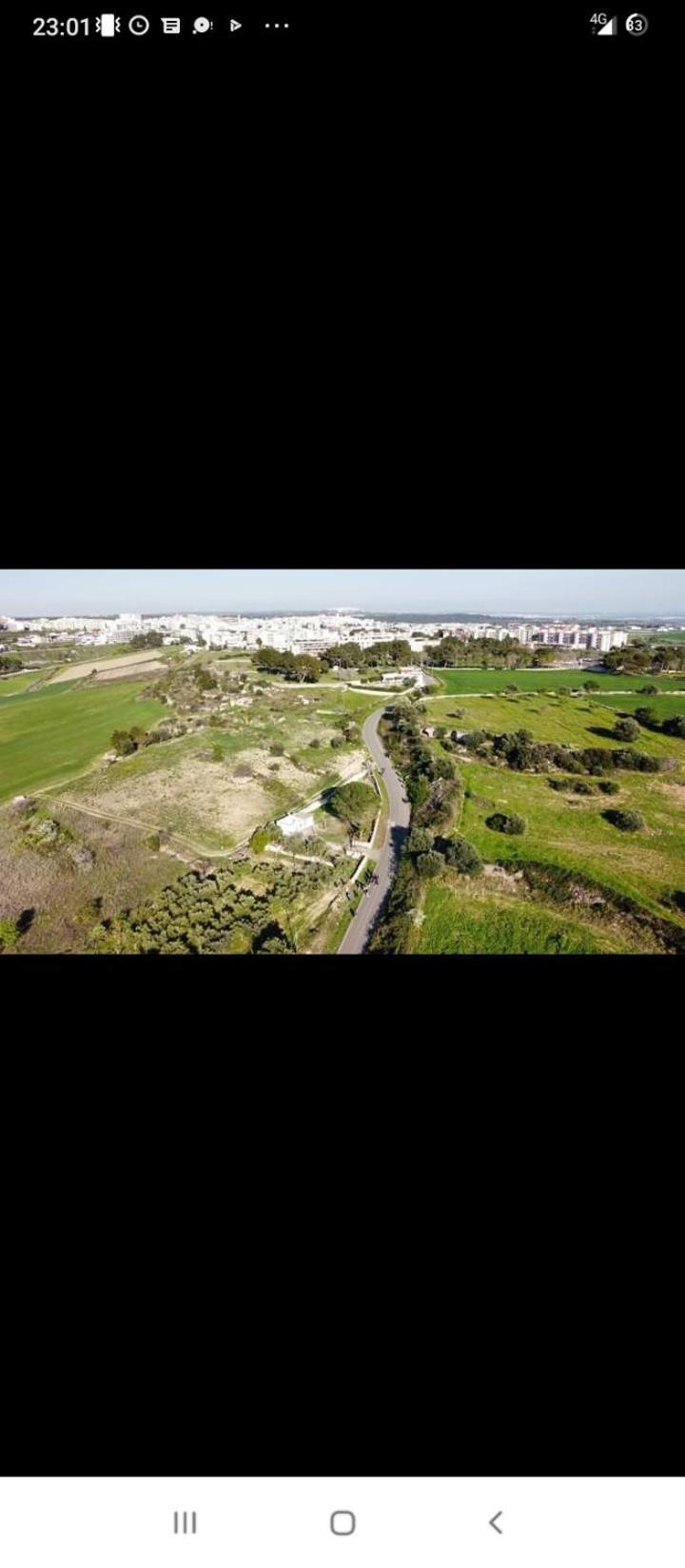 L' Arche Daire Castellaneta Dış mekan fotoğraf